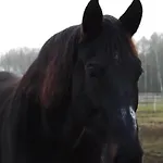 Lantgård Ranczo Jamidar *