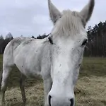 Lantgård Ranczo Jamidar