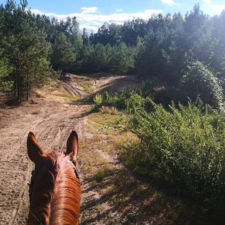 Farm stay Ranczo Jamidar