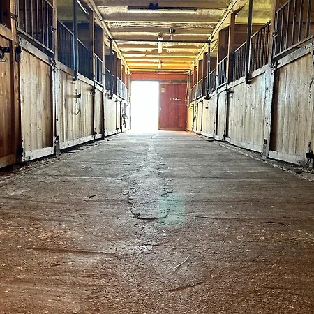 Ranczo Jamidar Farm stay Szczytno (Warmian-Masurian)